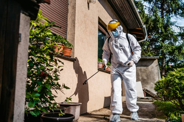 Reliable New Hope, PA Pest Control Solutions