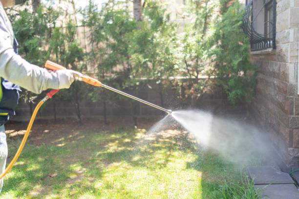 Bird Control in New Hope, PA